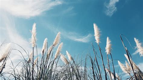 解夢 水|夢到水：解讀潛意識的語言，水象徵著你的潛在力量 